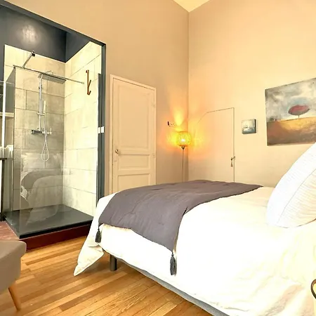 Illustre-appartement De Caractère Hypercentre-balcon