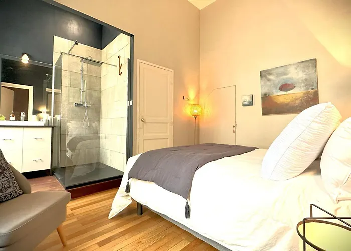 Illustre-appartement De Caractere Hypercentre-balcon